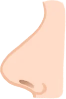 はなのイラスト