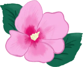 はなのイラスト